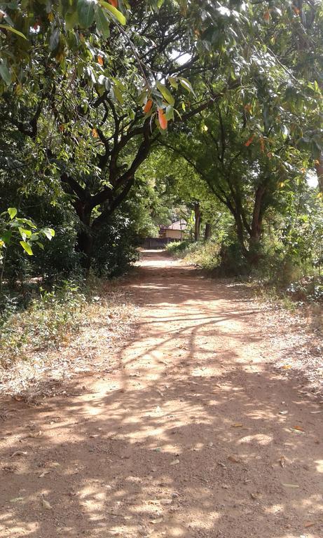 Miracle Home Stay Dambulla Bagian luar foto